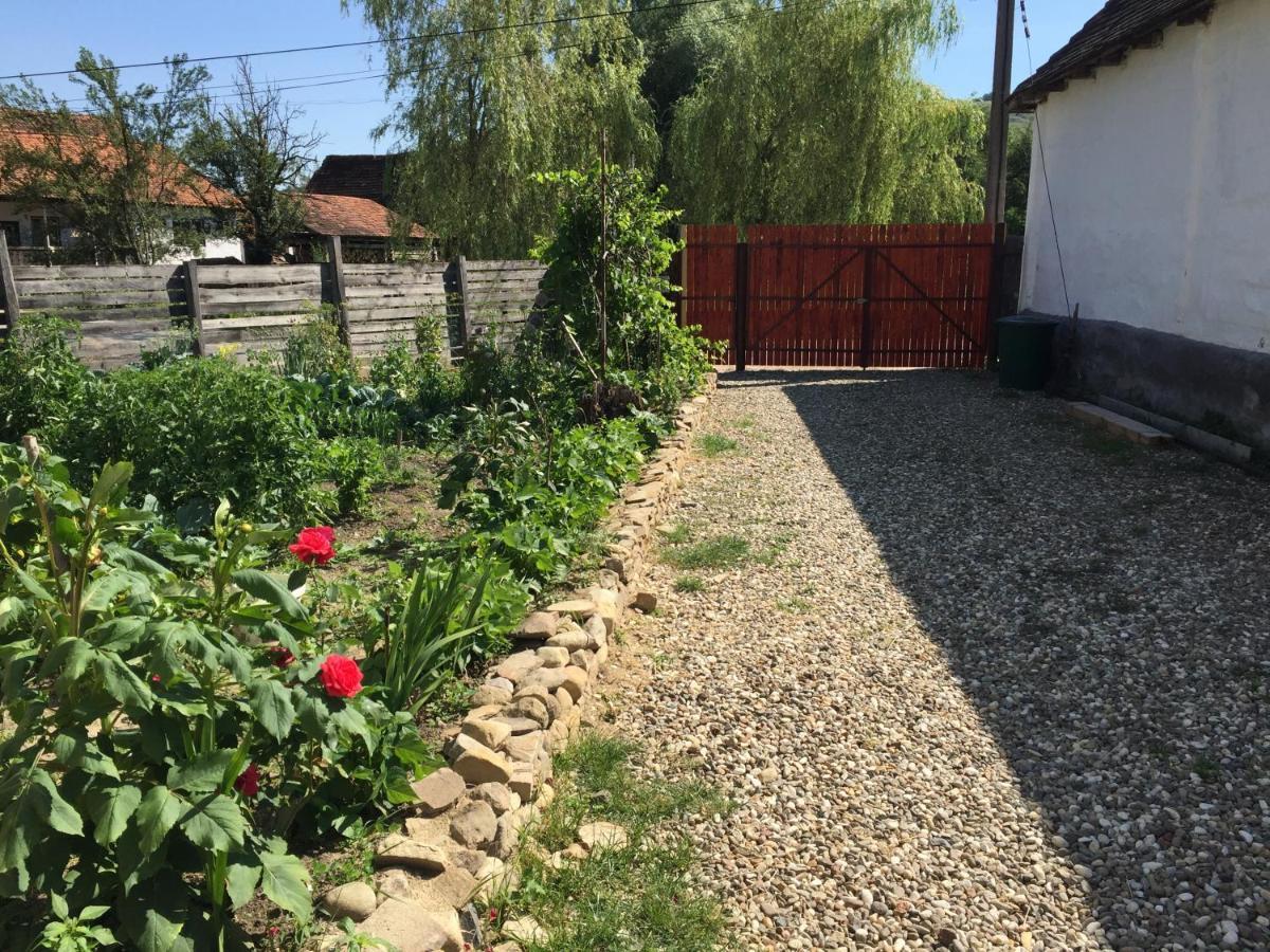 Pensiune Agroturistica Hanna Ocland Luaran gambar