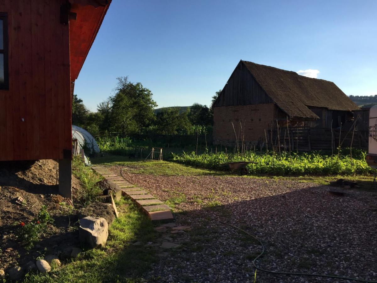 Pensiune Agroturistica Hanna Ocland Luaran gambar
