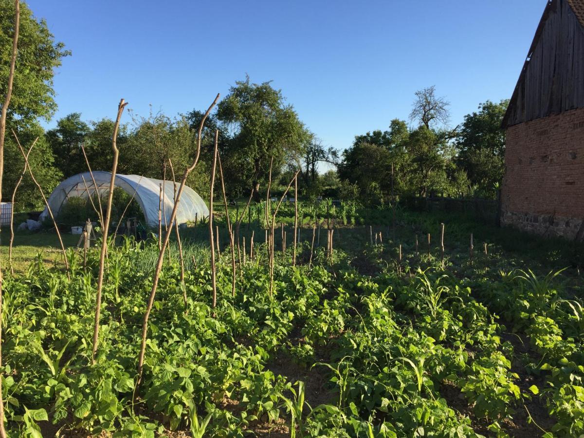 Pensiune Agroturistica Hanna Ocland Luaran gambar